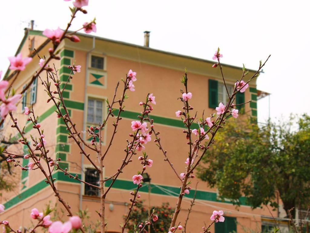 Appartamento Di Prestigio- Ca Da Lina - Deiva Marina Εξωτερικό φωτογραφία