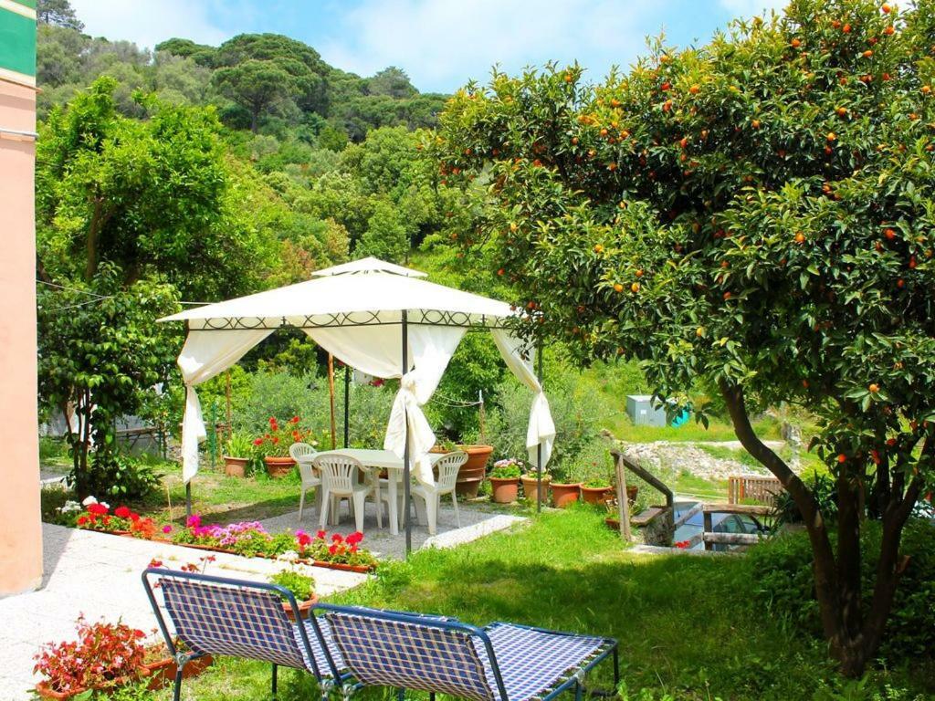 Appartamento Di Prestigio- Ca Da Lina - Deiva Marina Εξωτερικό φωτογραφία